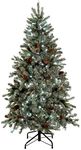 WeRChristmas Pre-Lit Edwardian Spruce Pre-Lit Multi-Function Christmas Tree, 1.5 m - 5 feet with 250-LED, Green
