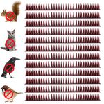 Anti Bird Spike, 12Pcs Plastic Bird Repellent Spikes 43x3x4cm Outdoor Keep Off Squirrel Woodpecker Defender Spikes Plastic Fence Spikes for Outside to Keep Birds Away