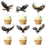 Ercadio 24 Pack Eagle Cupcake Toppers Eagle Cupcake Picks Animal Cupcake Picks Eagle Birthday Cupcake Decorations for Baby Shower Birthday Animal Theme Party Cake Decor Supplies