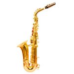 SKYLARK INTERNATIONAL® Alto Saxophone In Gold Lacquer Finishing With Hard Case, Belt, Gloves and Extra Reed.