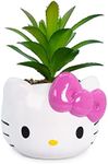 Silver Buffalo Sanrio Hello Kitty Face 3-Inch Ceramic Mini Planter with Artificial Succulent