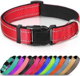 Joytale Dog Collar, Reflective Padd