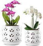 Remiawy Orchid Pot with Drainage Holes and Saucer, 6 Inch and 5 Inch Large Ceramic Planter Flower Orchid Pots for Repotting Indoor Plants, Succulent, Decorative, Good Air Circulation, 2 Packs, White