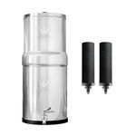 Phoenix Gravity 6 Litre Gravity Fed Stainless Steel Drinking Water Filter with NSF certified 2 Phoenix Carbon Water Filter Cartridges, Stainless Steel Tap