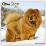 Chow Chow Calendar 2024 | Square Dog Breed Wall Calendar - 16 Month