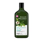 Avalon Organic Shampoo For Healthy Scalps