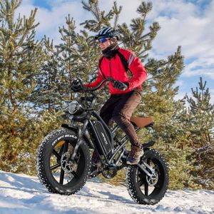JANSNO Electric Bike 20x4.0 Fat Tire – Adult E-Bike