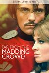 Far from the Madding Crowd (Digitally Restored)