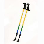 Urban Poling Spirit Walking Poles with Sand/Snow Baskets