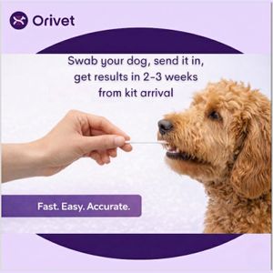 ORIVET GenoPet Plus Dog DNA Test – Breed & Health Screening Kit