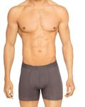 HIELABS Micromodal Regular Fit Pouch Trunk for Men | Anti Odour | Ultra Soft | Breathable Micro-Modal Fabric | Ultrasoft Waistband | Size L | Colour Grey | Pack of 1
