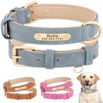 SEOUGEE Personalised Leather Dog Collar, Soft Padded Leather Dog Collars Heavy Duty with Custom Engraved Name Plate Adjustable for Small Medium Large Dogs (S, Blue 23-32cm)