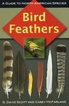 Bird Feathers: A Guide to North American Species