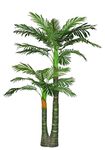 Sofix Artificial Fake Palm Tree Green Plant Big Size Indoor Plant for Living Room, Balcony, Hotel and Restraunts Without Pot - 5.5 feet