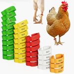 16mm 100 Pcs Adjustable Poultry Leg Bands,Chicken Leg Rings,Duck Leg Bands,5 ​​Colors Laser Engraved Clip Rings for Large Poultry Chicken,Duck,Turkey,Goose Gamefowl Turkey