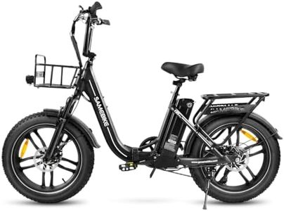 SAMEBIKE E