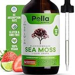 Irish Sea Moss Raw Organic Tincture