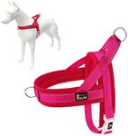 Plutus Pet No Pull Dog Harness with
