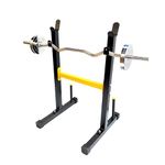 Weider Weight Bars