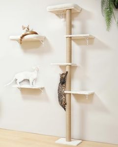 FUKUMARU C