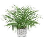 Hollyone Artificial Plants Fern Leaf Decorative Fake Plants Potted, Plastic Faux Plants Indoors in Cement Pots, Artificial Plants Indoors for Home Decor, Bedroom, Office Desk, Living Room and Kitchen