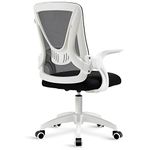 Office Chair Design