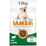 IAMS Complete Dry Dog Food for Adult 1+ Large Breeds with Lamb 12 kg