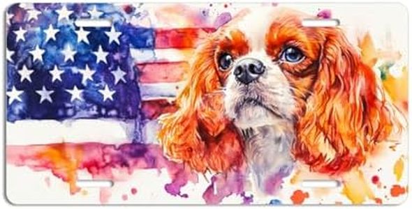 NGZ Cavalier King Charles Spaniel License Plate, Funny Pet American Flag Painting Aluminum License Plate Suitable for Car, RVs, Bars, Fences, garages, etc. 12x6 Inch