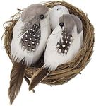 R H lifestyle Artificial Foam Feathered Mini Birds with Hay Nest & Eggs Ornaments, DIY Craft for Home Garden Lawn Decoration Party Accessories (9 x 7 x 5 cm) Pack of 1