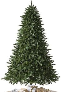 Balsam Hil