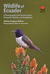 Wildlife of Ecuador – A Photographic Field Guide to Birds, Mammals, Reptiles, and Amphibians: 15 (Wildlife Explorer Guides)