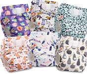 Littles and Bloomz Baby Reusable Pocket Nappy Cloth Diaper, Standard Hook-Loop, 6 Nappies, FLV2-0604