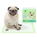 Puppy Pee Pads for Dogs with Adhesi