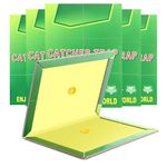 Fly Insect Pest Trap Board - Pest Fly Catchers in Indoor Outdoor Multiple Insects (5 Pcs)