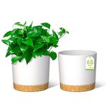 ZMTECH 16.5cm Plant Pots, Modern Planters with Drainage Holes and Detachable Saucer, Plastic Flower Pots for Plants for House Garden Windowsill (Set of 2, White)