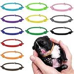 tonyg-p 12pcs Puppy ID Collars Whelping Collars Adjustable Puppy ID Bands Identification Puppy Collar for Dog Kitten Newborn Pet,Multi Coloured (S,12-20CM)