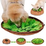 Edipets, Olfactory Dog Mat, Toys for Dogs, Training Accessory, Treat, Food, for Puppy, Pets, Small, Medium and Large (Green)
