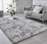 BRICHOEE Shag Area Rug, 5x7 Ft Tie-