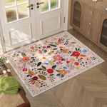 Rugcomf Door Mat Indoor Entrance 2x