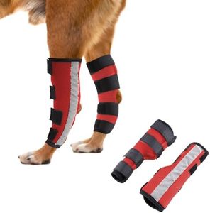 NACOCO Dog Leg Brace- Pair of Dog Canine Leg Wrap with Safety Reflective Straps Protects Wounds Brace Heals and Prevents Injuries and Sprains (Small)