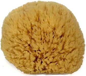 Natural Sea Sponge 6-7" by Spa Destinations"Creating The In Home Spa Experience"