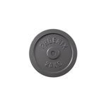 Phoenix Fitness Cast Iron Weight Plates - 1-Inch Free Weight Plate for Barbell Dumbbell Bars, Weightlifting & Strength Training at Home Gym - Single, 20kg