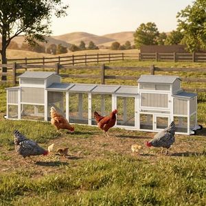 Large Chicken Coop with Run for 6-12 Chickens, Mobile Outdoor Hen House Chicken Tractor with Full Asphalt Roof, Wheels, Wooden Poultry Cage with 4 Nesting Box, Pull-Out Tray & Fun Swing
