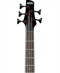 Ibanez 5-String Bass Guitar – GSR205B Electric Bass