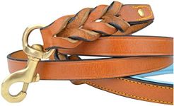 Soft Touch Collars Leather Braided Dog Leash, Tan with Teal Padded Handle, 6ft Long x 3/4" Inch Wide