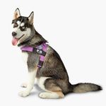 DF Co. Dog Harness | Chafe Resistan