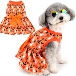 Zunea Halloween Dog Dresses for Small Dogs Cats Pumpkin/Ghosts/Bat/Spider Print Puppy Girl Halloween Costumes Fancy Dress Soft Pet Skirt with Bow Knot Chihuahua Yorkie Clothes Outfits Orange M