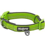 Blueberry Pet Soft & Comfy 3M Reflective Pastel Color Padded Dog Collar, Baby Green, Large, Neck 18"-26", Adjustable Collars for Dogs