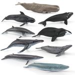 GUFOPONAS 10PCS Whale Shark Toy Set Small Sea Creatures Toys for Kids 2-4 Inch Mini Marine Animal Figures Cake Topper Girls Boys Toddlers Birthday Gift
