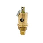 DK Air Compressor DK Compressor 1/4" Close Body Male Thread Pressure Relief Valve for Compressor - Capacity 60 PSI - Pack of 1